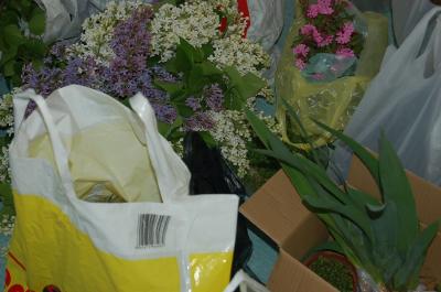 06_85.jpg
