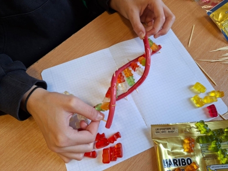 Biologiczne projekty